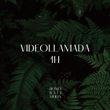 Videollamada 1h